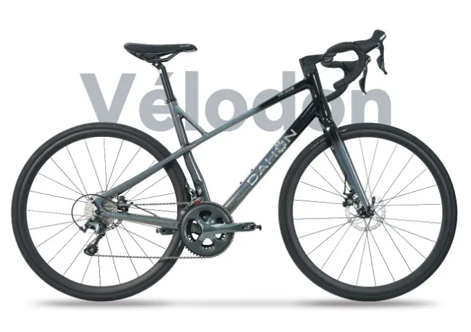 DAHON Gains Traction with "D-VELO"，Leading New Trends in Green Mobility-themed CCBI 2024