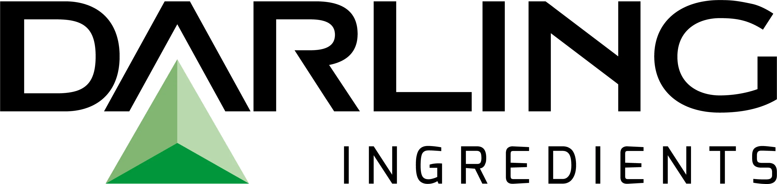 Darling Ingredients Elects Soren Schroder to Board of Directors