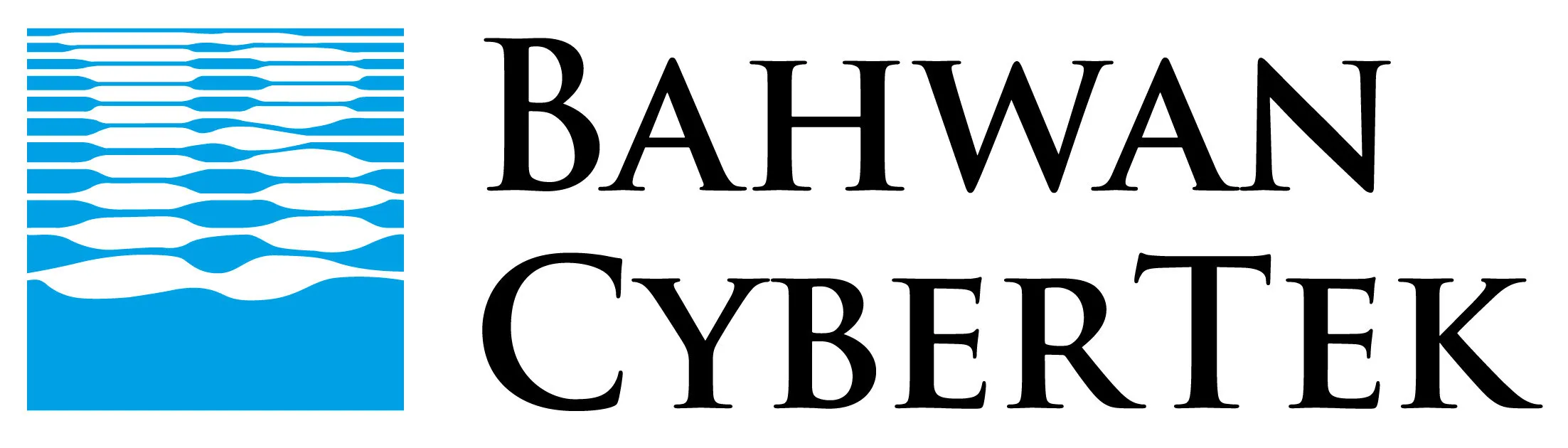 Bahwan CyberTek Appoints Vish Srinivasan as the CEO of Global Services Business