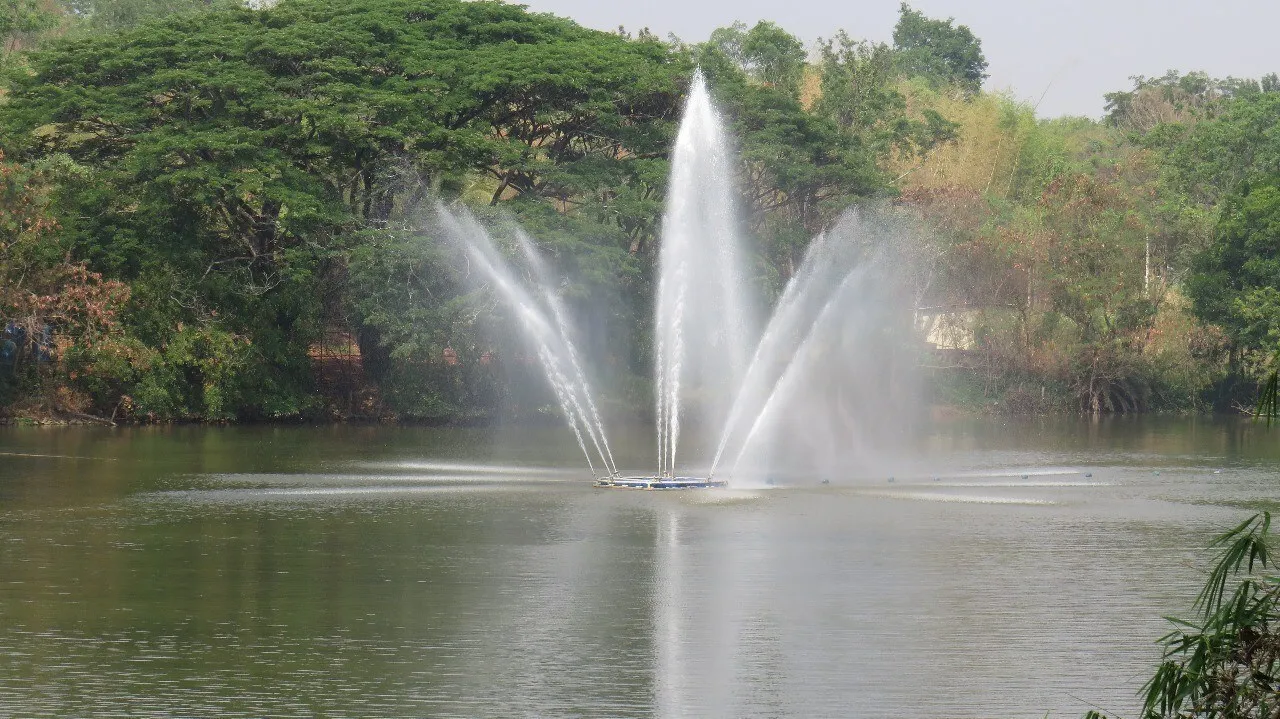 Pioneering Sustainable Solutions: The Art of Living's 4R Approach