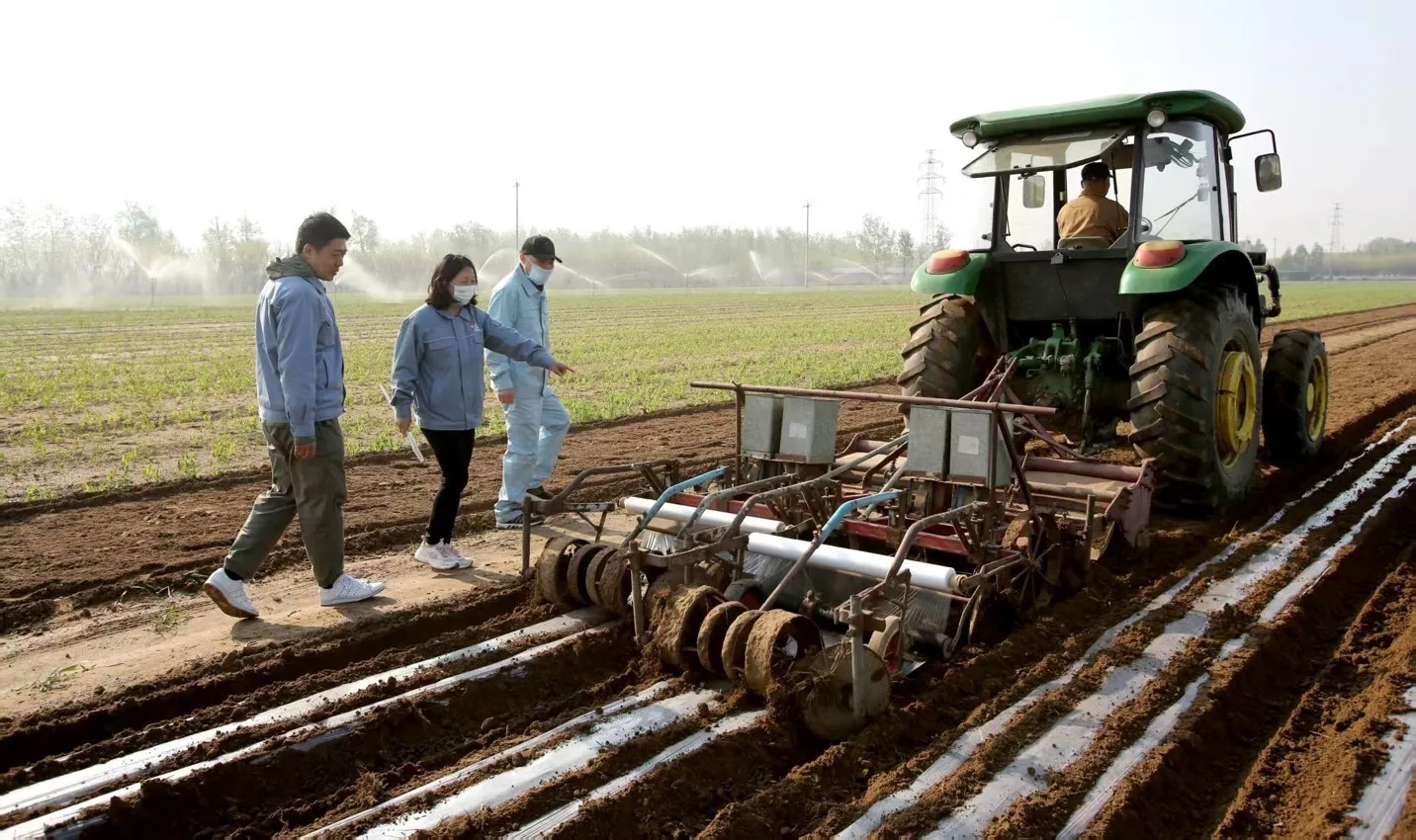 Sinopec's Fully Biodegradable PBST Material Tackles Residual Mulch Film Challenge in Xinjiang's Cotton Fields