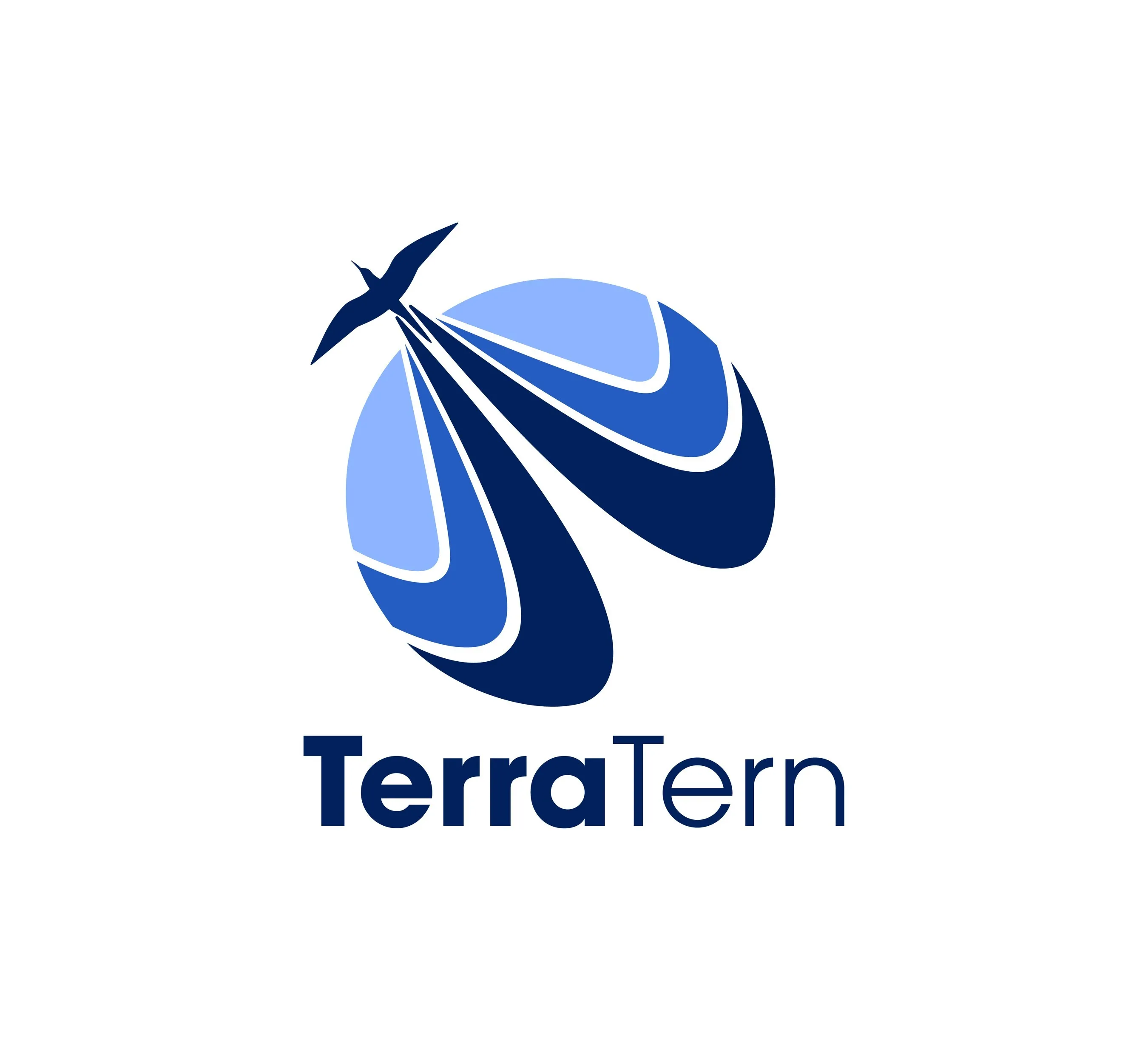 Bengaluru-based TerraTern Emerges As a Global Hub for AI-Powered Immigration, Work & Study Abroad Guidance
