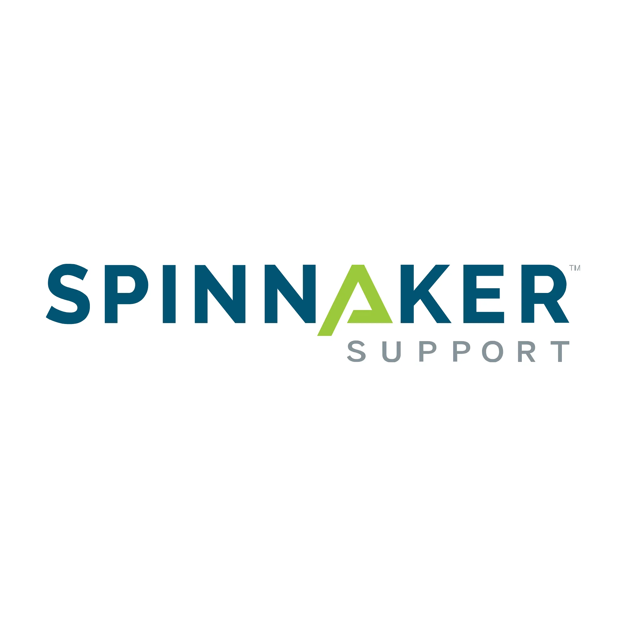 Spinnaker Support Accelerates APAC Expansion, Appoints Vivek Pruthi as Managing Director - APAC