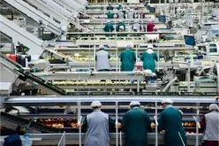 Industrial Process Automation Market Report 2023: Featuring Hitachi, Siemens, Toshiba, Emerson Electric, Rockwell Automation & More